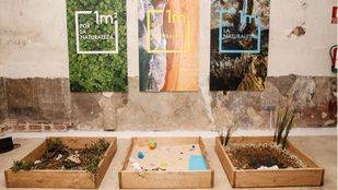 Nace el proyecto Libera: Ecoembes y Seo/Bird Life organizan la primera limpieza colaborativa de basura nacional