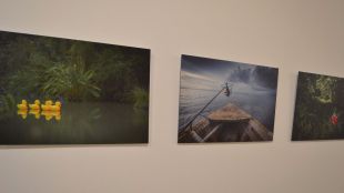 La fauna americana se da cita en la Casa de América