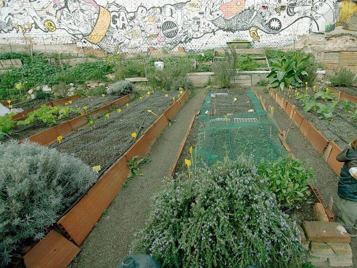 Huerto urbano en Lavapies