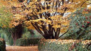 Arranca este miércoles un otoño más caluroso de lo habitual