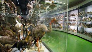 El lado más íntimo de los museos