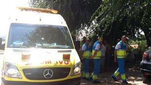 Fallece un hombre de 71 años tras caer de un árbol en su finca de Cercedilla