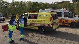 Asistidos 16 niños de 5 años por picaduras de avispas durante una excursión en Somoguas