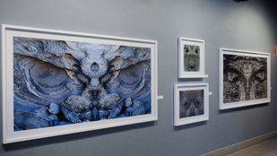 'Bestiario', la muestra fotográfica de Guillem Vidal donde el arte y la naturaleza convergen