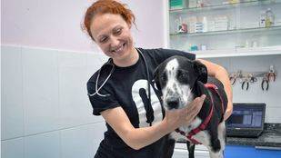 UPyD critica a Cifuentes por no concretar qué se hará con los animales abandonados recogidos por la Comunidad