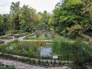 Un 'estanque-laboratorio' en el Jardín Botánico