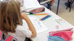 La Plataforma por la Escuela Pública pide al consejero de Educación un giro en las políticas de la Comunidad