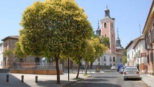 Dimiten las dos concejalas de Ganemos de Valdemoro condenadas a tres años de cárcel por insolvencia punible