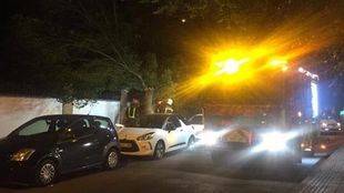 Se desploma un árbol en San Fernando de Henares