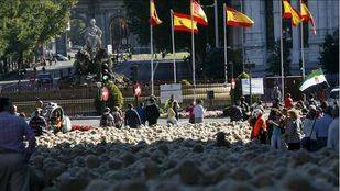 Unas 2.000 ovejas pasean por Madrid durante la XXII Fiesta de la Trashumancia