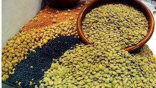 La FAO designa 2016 como el año internacional de las legumbres