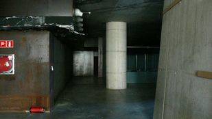 Proponen crear un jardín climatizado didáctico en la estufa fría del parque Juan Carlos