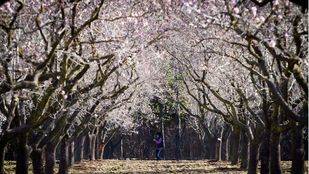 V edición de los Premios Verdes al desarrollo sostenible