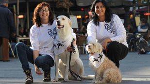 Vuelve la 'SanPerrestre' para reclamar un mayor acceso con perros a espacios públicos
