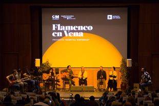El Hospital Doce de Octubre acoge un festival de flamenco para sus pacientes