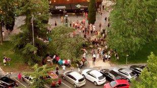 Seis heridos leves tras la caída de una rama de un árbol en Leganés