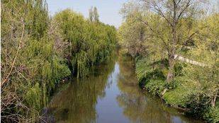 El Ayuntamiento plantea desmantelar la depuradora de la China en 2016