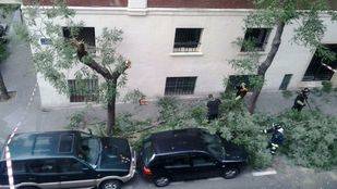 Aviso por fuertes vientos para la tarde del lunes