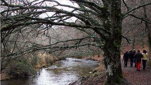 El turismo rural ha tenido un 75% de ocupación los últimos días de 2015