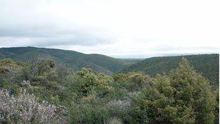 Riesgo de tormentas este martes en la Sierra madrileña