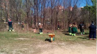 'Lavado de cara' al caz del Henares