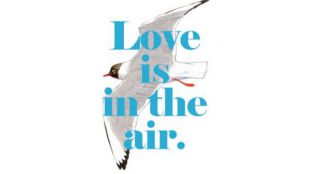 "No hay nada más natural que tener pluma", la campaña 'orgullosa' de SEO/BirdLife