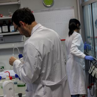 Más de 300 nuevos contratos para jóvenes investigadores