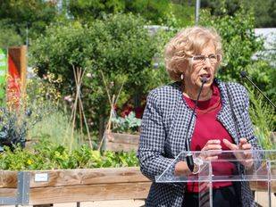 Pintadas contra la alcaldesa en el monolito de las Brigadas Internacionales de la Complutense