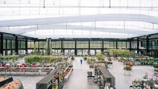 El oasis de cactus más grande de Europa, a un paso de Madrid