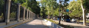 Abierto al público el recorrido peatonal del Paseo del Prado entre la Plaza de Murillo y la Puerta del Rey del Jardín Botánico