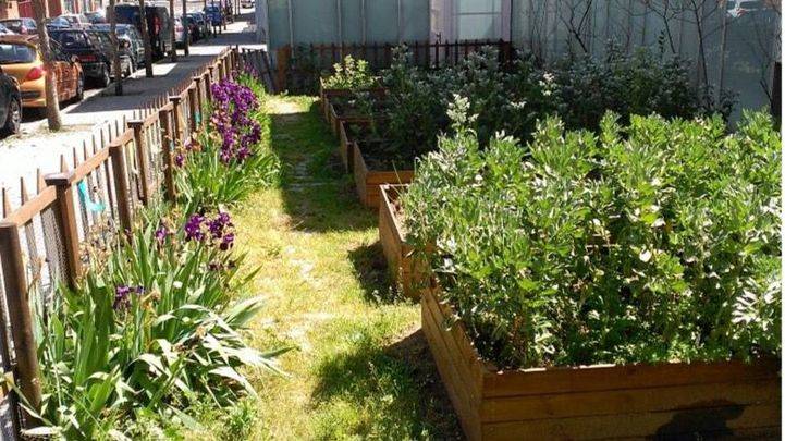 Huertos urbanos de 'Huerteamos