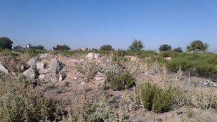Parcela donde se ubicará un nuevo bosque urbano en Fuencarral