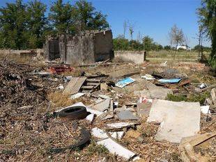 Chamizo rodeado de basura de la calle de la Montaña, en plenos Sotos Históricos de Aranjuez.