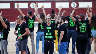 Los antitaurinos asaltan Las Ventas