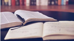 Educación, la base de todo: 4 páginas para educar bien en diferentes facetas