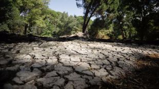 Extraídas varias toneladas de lodo en el arroyo Antequina
