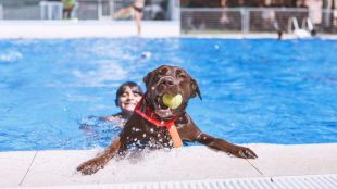 San Martín de la Vega invita a los perros a darse un chapuzón