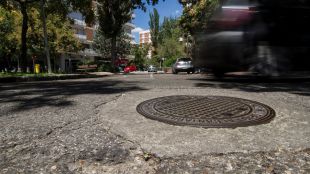 Colonia El Bosque: donde los árboles conviven con socavones