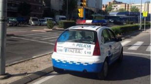 Rescatados doce perros en una nave de Fuenlabrada