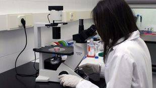 La biología regenerativa, gran apuesta de la UAX