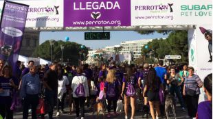 Más de 4.000 participantes en la Perrotón Madrid 2017