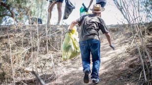 Cuatro proyectos madrileños se suman a Libera