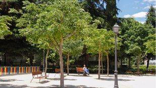 El PSOE propone la plantación de 100.000 árboles