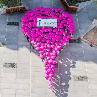 Un 'goteo rosa' inunda la región contra el cáncer de mama