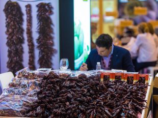 Fruit Attraction apuesta por la tecnología