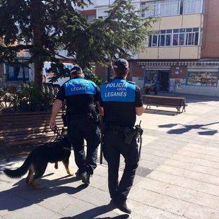 Seis detenidos por tráfico de droga en dos locales