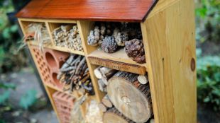 Habitaciones para los insectos del Jardín Botánico