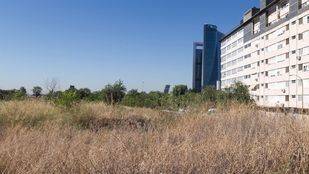 Terrenos donde se edificarán las zonas de Madrid Nuevo Norte.