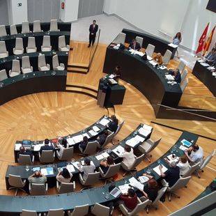 Limpieza y Metro nocturno, en el Pleno Abierto de Cibeles