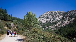 Empieza el derribo de los primeros chiringuitos ilegales de La Pedriza